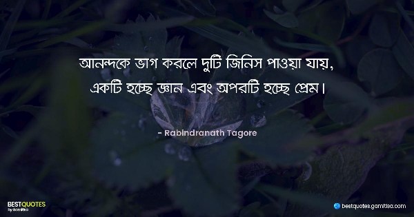 আনন্দকে ভাগ করলে দুটি জিনিস পাওয়া যায়, একটি হচ্ছে জ্ঞান এবং অপরটি হচ্ছে প্রেম। - Rabindranath Tagore
