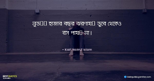 নুড়ি হাজার বছর ঝরণায় ডুবে থেকেও রস পায় না। - Kazi Nazrul Islam