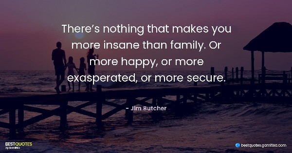 There’s nothing that makes you more insane than family. Or more happy, or more exasperated, or more secure. - Jim Butcher