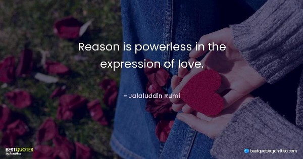 Reason is powerless in the expression of love. - Jalaluddin Rumi