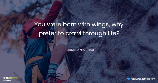 You were born with wings, why prefer to crawl through life? - Jalaluddin Rumi