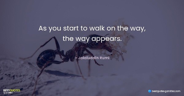 As you start to walk on the way, the way appears. - Jalaluddin Rumi