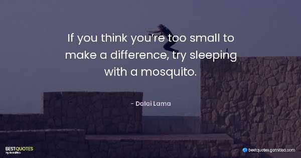 If you think you’re too small to make a difference, try sleeping with a mosquito. - Dalai Lama