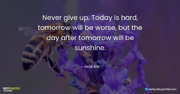 Never give up. Today is hard, tomorrow will be worse, but the day after tomorrow will be sunshine. - Jack Ma