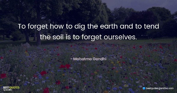To forget how to dig the earth and to tend the soil is to forget ourselves. - Mahatma Gandhi