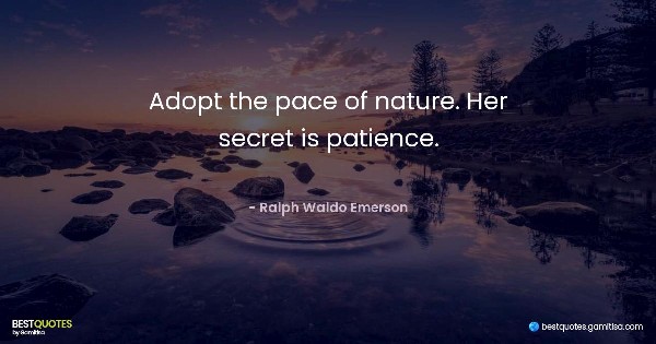 Adopt the pace of nature. Her secret is patience. - Ralph Waldo Emerson