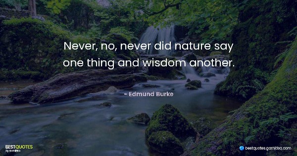 Never, no, never did nature say one thing and wisdom another. - Edmund Burke