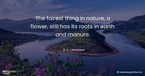 The fairest thing in nature, a flower, still has its roots in earth and manure. - D. H. Lawrence
