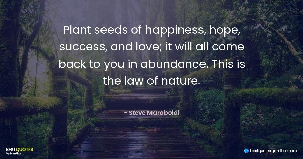 Plant seeds of happiness, hope, success, and love; it will all come back to you in abundance. This is the law of nature. - Steve Maraboldi