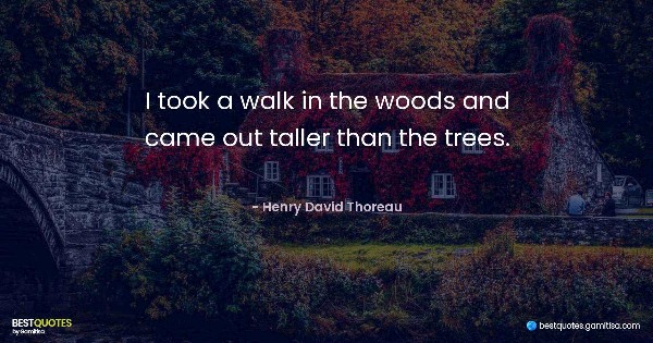 I took a walk in the woods and came out taller than the trees. - Henry David Thoreau