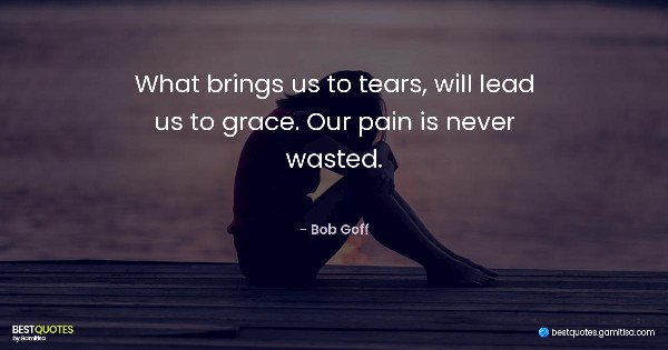 What brings us to tears, will lead us to grace. Our pain is never wasted. - Bob Goff
