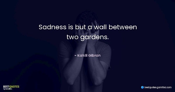 Sadness is but a wall between two gardens. - Kahlil Gibran