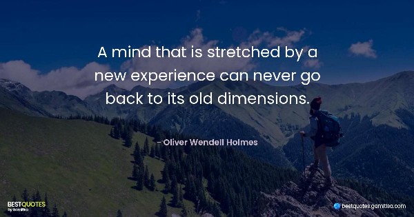 A mind that is stretched by a new experience can never go back to its old dimensions. - Oliver Wendell Holmes